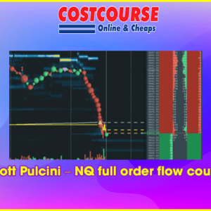 Scott Pulcini â€“ NQ full order flow course