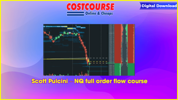 Scott Pulcini â€“ NQ full order flow course