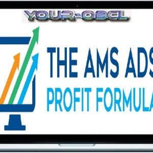 The AMS Ads Profit Formula