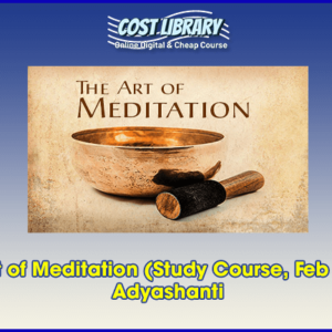 The Art of Meditation (Study Course, Feb 2016) â€“ Adyashanti