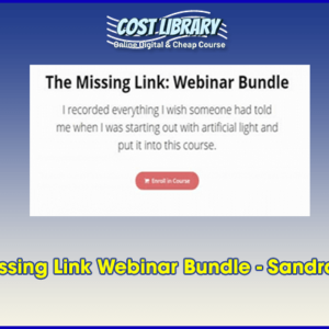 The Missing Link Webinar Bundle â€“ Sandra Coan