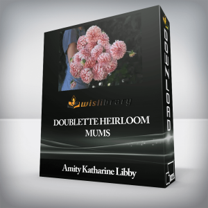 Amity Katharine Libby â€“ Doublette Heirloom Mums