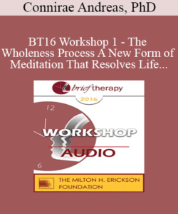 [Audio] BT16 Workshop 1 – The Wholeness Process A New Form of Meditation That Resolves Life Issues – Connirae Andreas, PhD