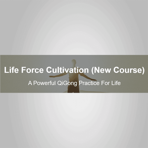 Chris Bale â€“ Life Force Cultivation Powerful Qigong Practice