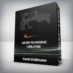 David Wallimann â€“ 60 DAY PENTATONIC CHALLENGE