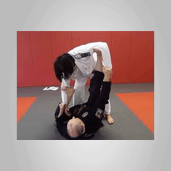 Henry Akins â€“ Guard Passing Mastery (720P)