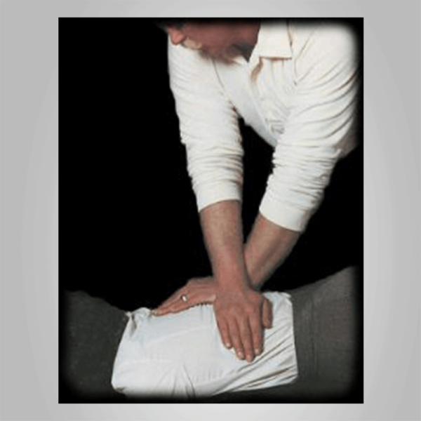 Home Chiropractic DVD + Handbook