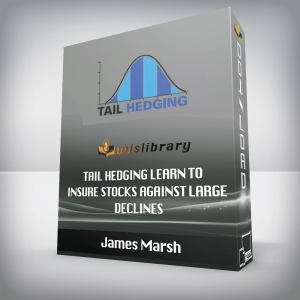 James Marsh â€“ Tail Hedging Learn to Insure Stocks Against Large Declines