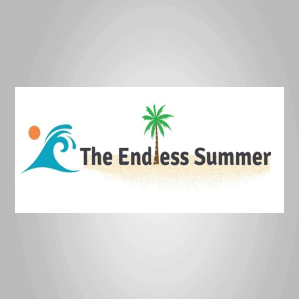 Sharad Thaper â€“ The Endless Summer Google Shopping Course