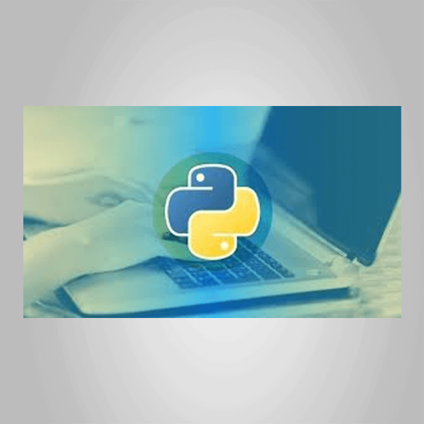 Stone River eLearning â€“ Master the Fundamentals of SQL with Python