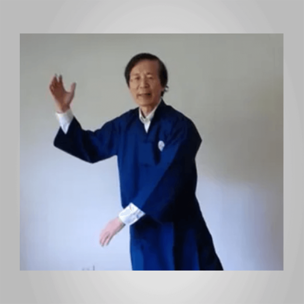 Waysun Liao â€“ How to Enter the State of Taichi