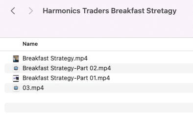 Harmonics Traders BreakFast Strategy for Stock option Buyers