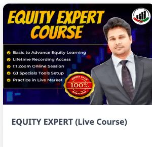 GJ INVESTMENT EQUITY EXPERT