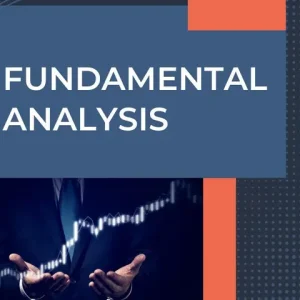 Wealth SaGa WSG Pro-Investor Fundamental Analysis Course