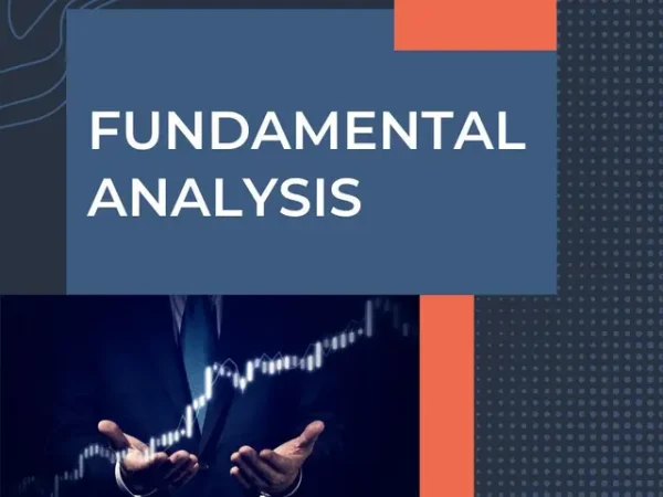 Wealth SaGa WSG Pro-Investor Fundamental Analysis Course