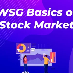 Wealth SaGa WSG Basics of Stock Market
